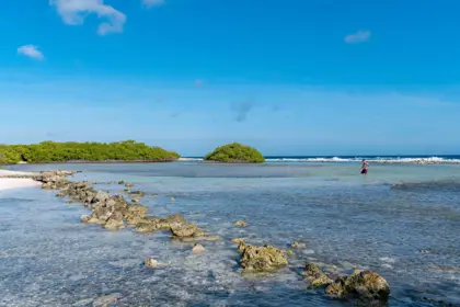 Aruba-Magazine-114-scaled